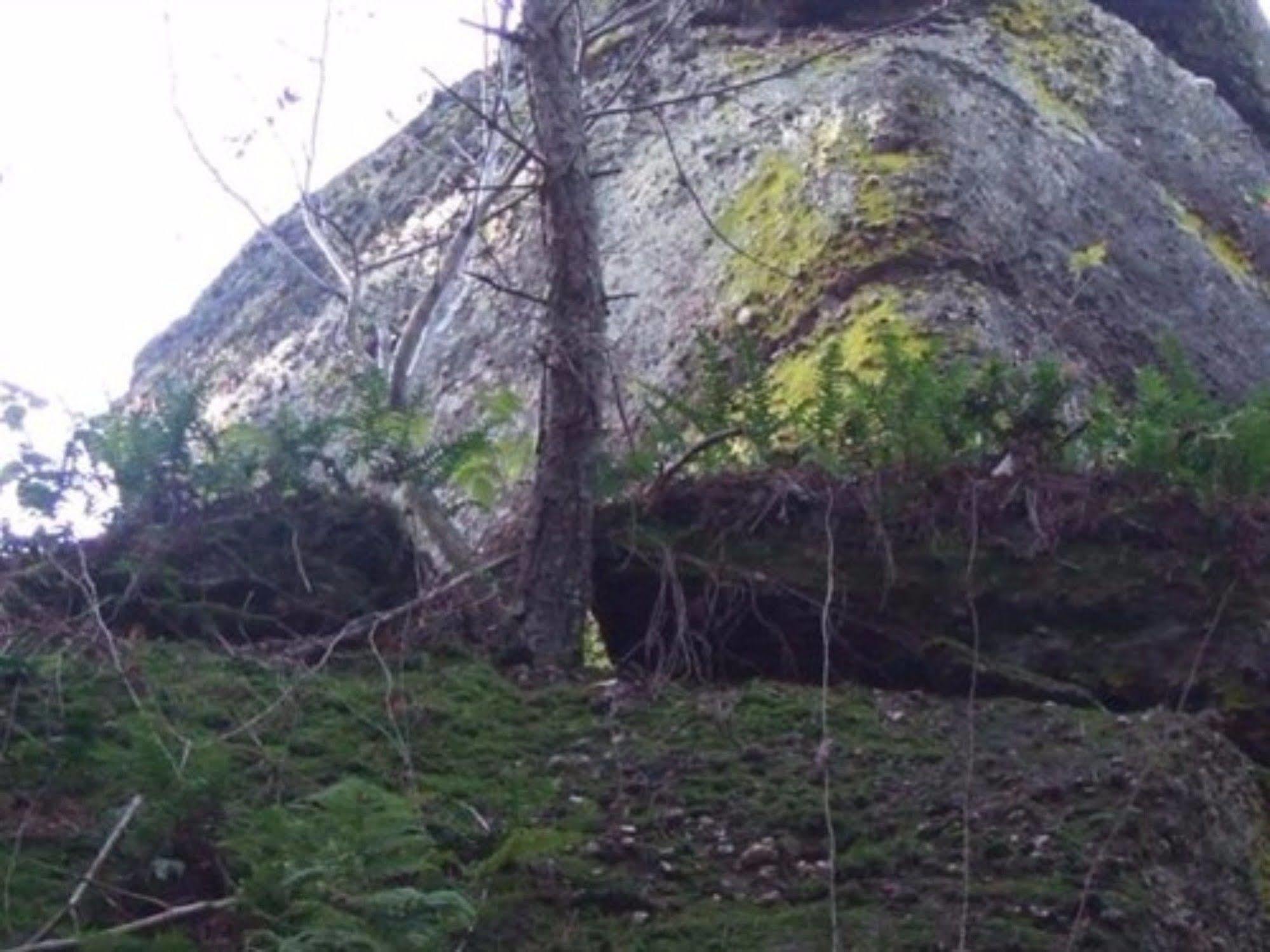 Auberge d'Hôtes l'Instant Le Hohwald Exterior foto