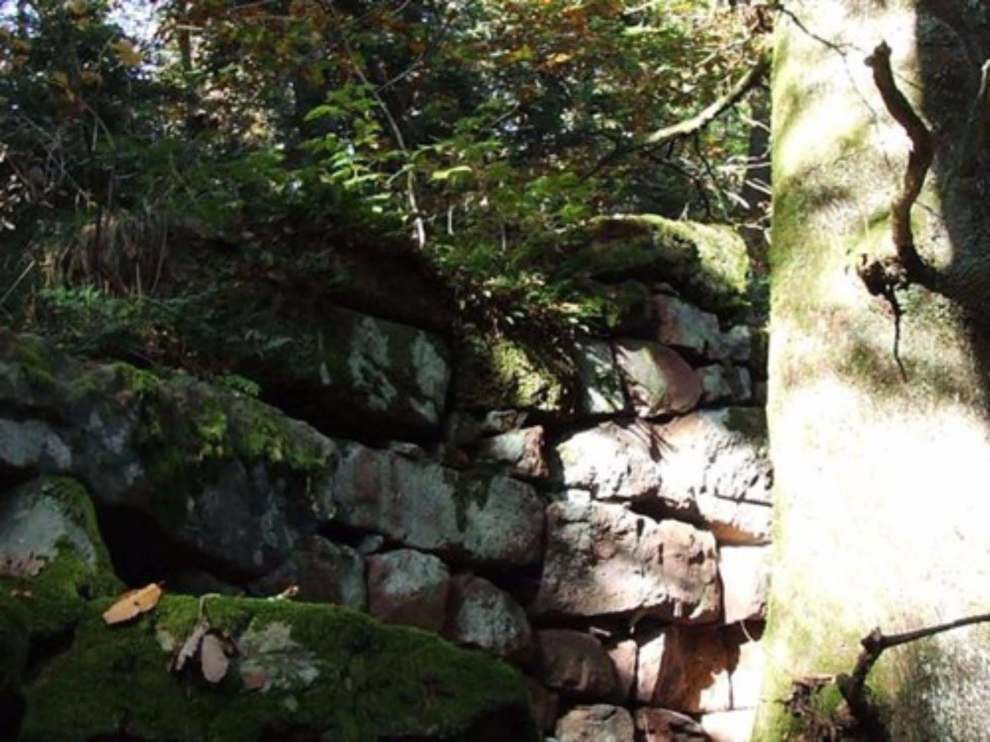 Auberge d'Hôtes l'Instant Le Hohwald Exterior foto